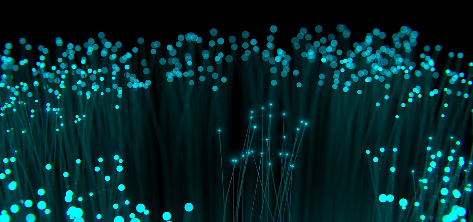 Fiber Optic Patch Cord
